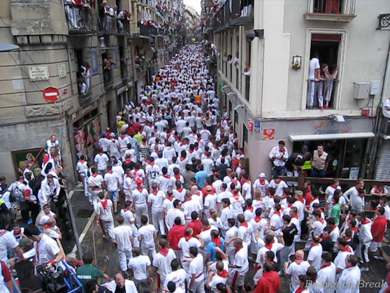 Short time lapse video from the Running of the Bulls during the Festival of San Fermin in Pamplona, Spain in July 2011